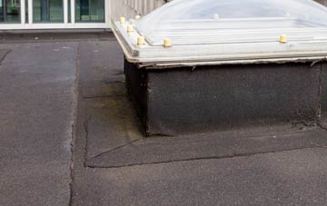 disadvantages of Greenlands flat roofs