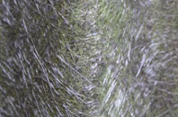 Greenlands fibreglass roof work